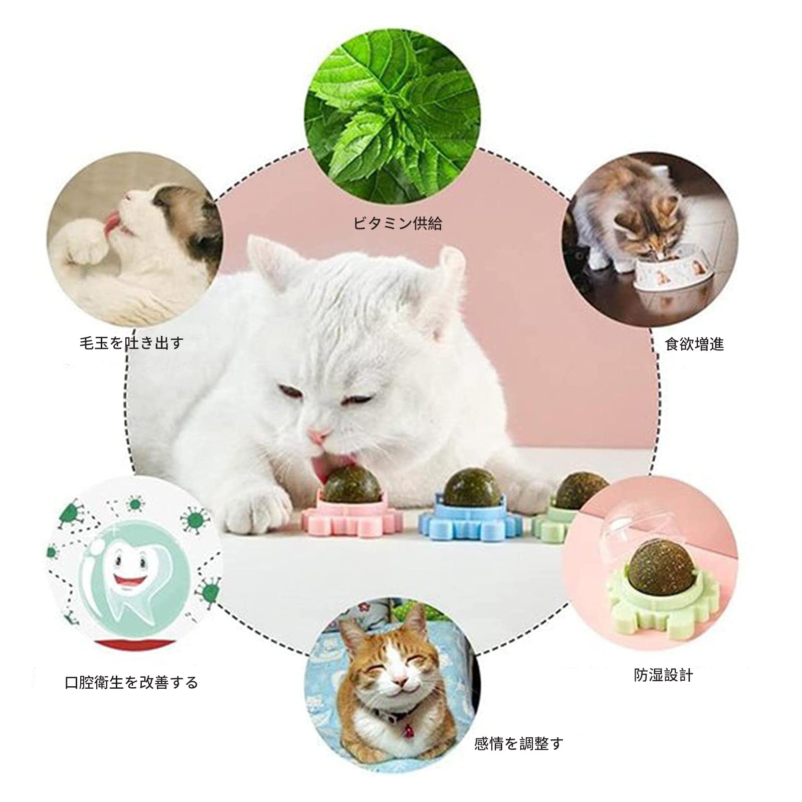 ねこ。３点セット Amazon | WD&CD 猫じゃらし 猫おもちゃ 交換用羽12個 竿2個